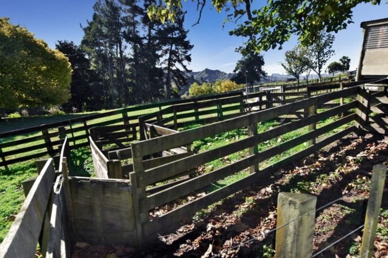 Photo of property in 453 Kururau Road, Taumarunui, 3991