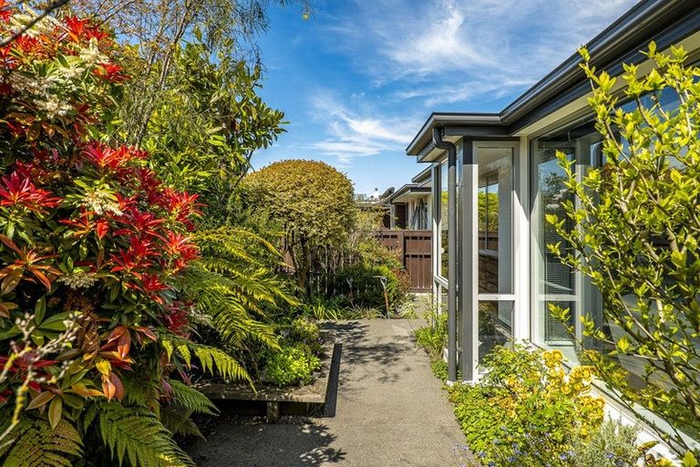Photo of property in 1/53 Winchester Street, Merivale, Christchurch, 8014