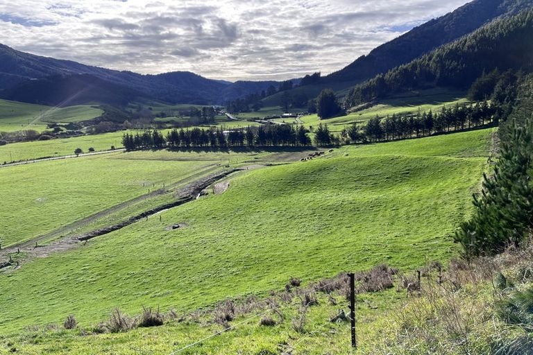 Photo of property in 712 Ronga Road, Rai Valley, 7194