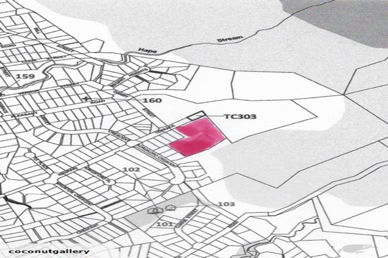 Photo of property in 210 Hauraki Terrace, Thames, 3500