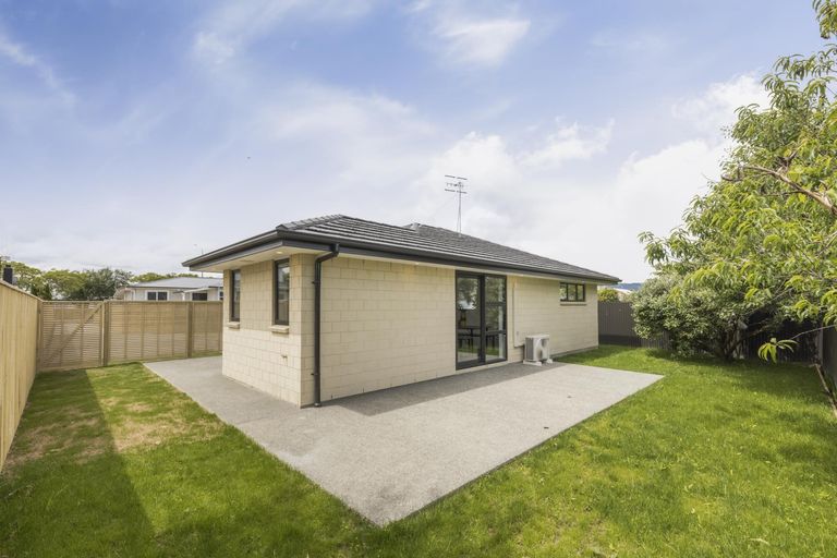 Photo of property in 107a Queen Street West, Levin, 5510