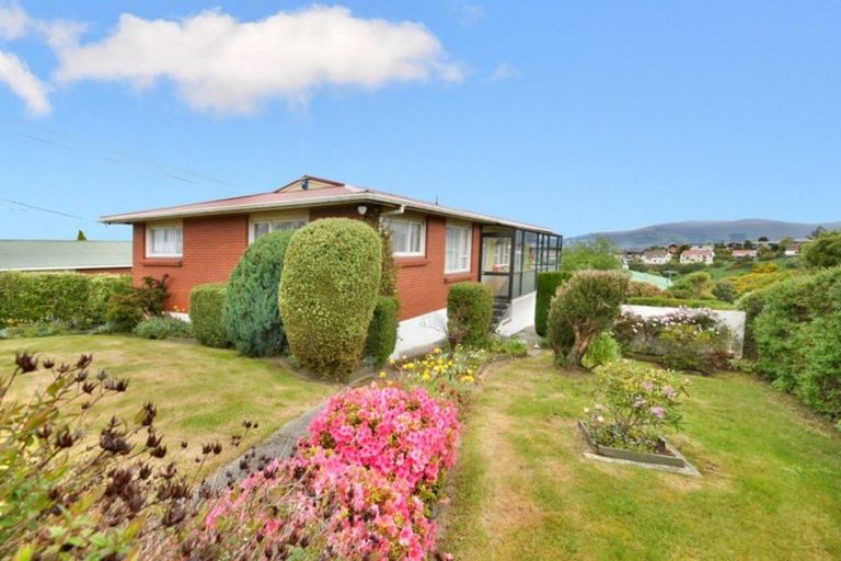 Photo of property in 247 Highcliff Road, Shiel Hill, Dunedin, 9013