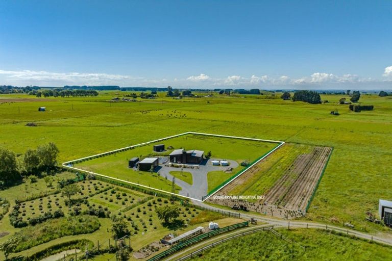 Photo of property in 858d Rangiotu Road, Rangiotu, Palmerston North, 4477