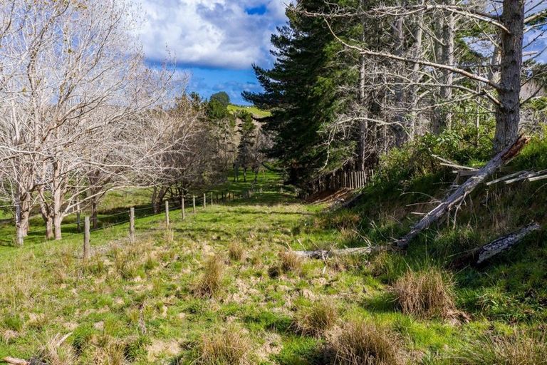 Photo of property in 16 Otara Road, Kaiwaka, 0573