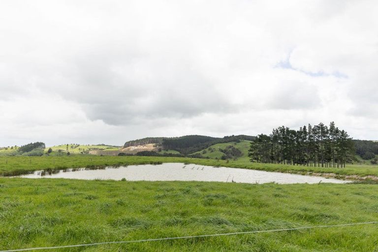 Photo of property in 139 Poyner Road, Ararua, Matakohe, 0594