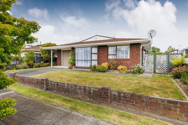 Photo of property in 41 Cedar Crescent, Feilding, 4702