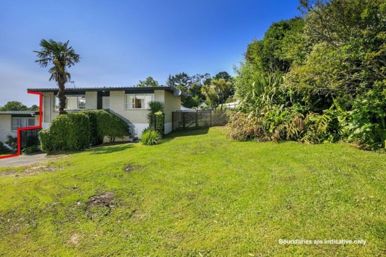 Photo of property in 2/38 Ayton Drive, Totara Vale, Auckland, 0629