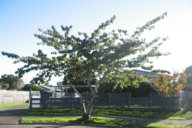 Photo of property in 25 Fairlight Place, Manurewa, Auckland, 2102