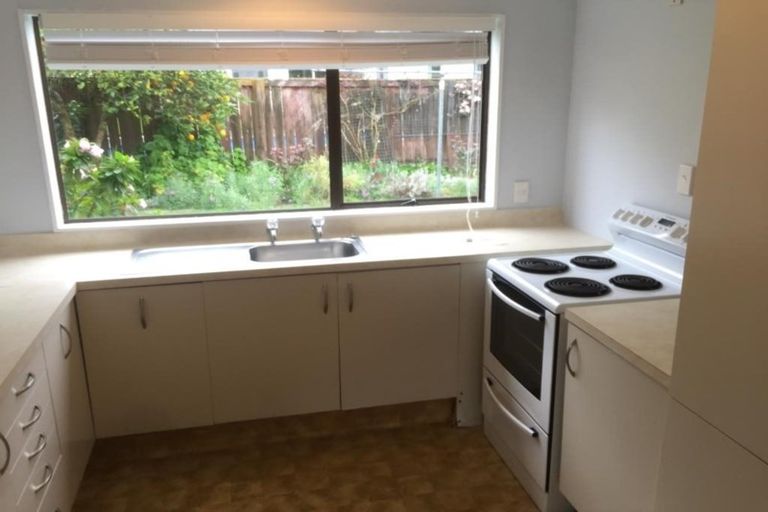 Photo of property in 16 Myrtle Drive, Omokoroa, 3114