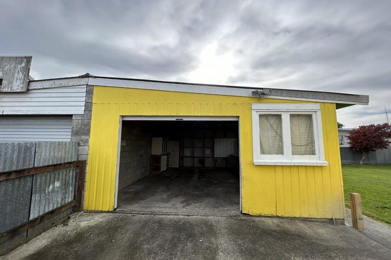 Photo of property in 21 Braemar Street, Levin, 5510