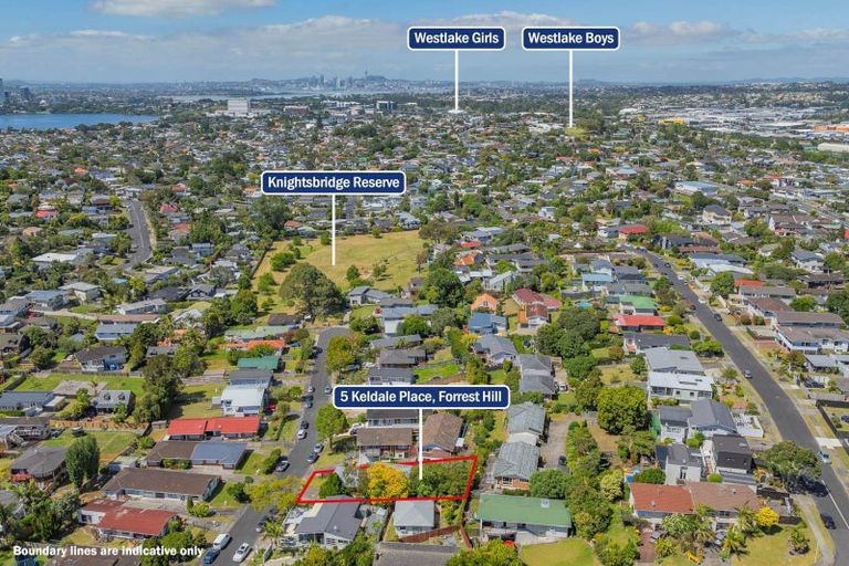 Photo of property in 1/5 Keldale Place, Forrest Hill, Auckland, 0620