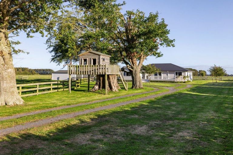 Photo of property in 296 Piako Road, Gordonton, Hamilton, 3281