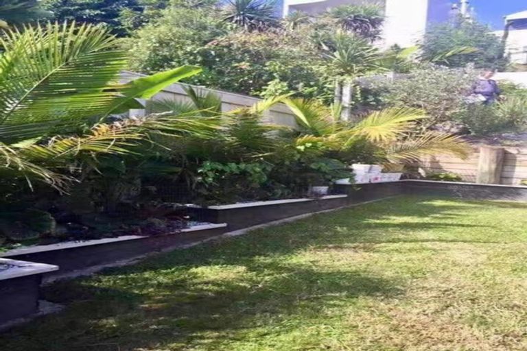 Photo of property in 13 Shirley Road, Grey Lynn, Auckland, 1021