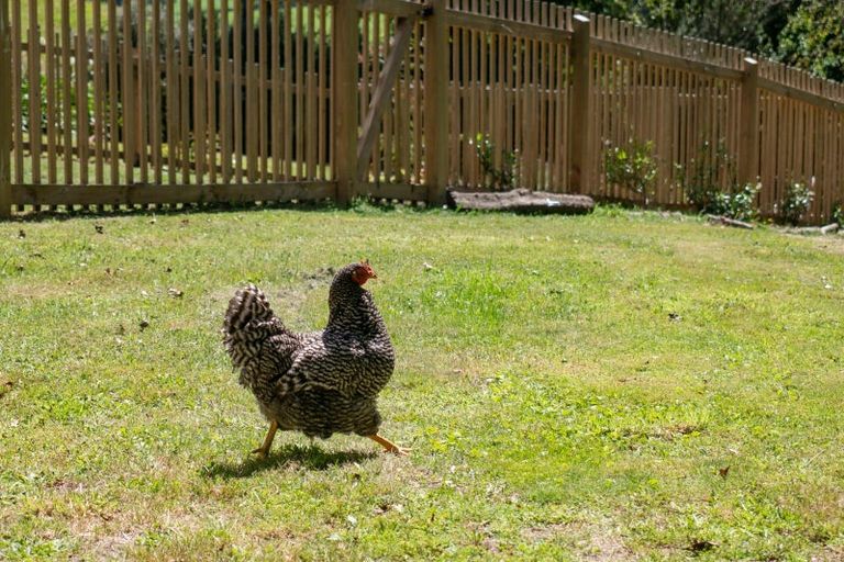 Photo of property in 202 Ngamotu Road, Rerewhakaaitu, Rotorua, 3073