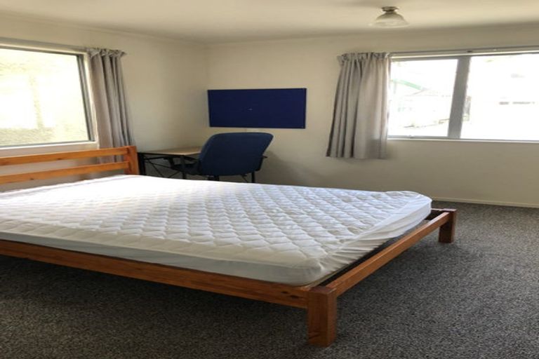 Photo of property in 15 Titan Street, North Dunedin, Dunedin, 9016