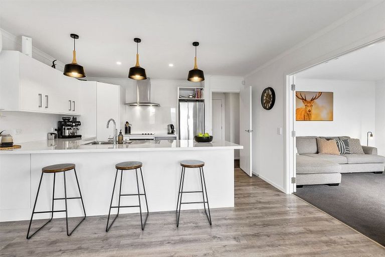 Photo of property in 113 John Burke Drive, Aotea, Porirua, 5024