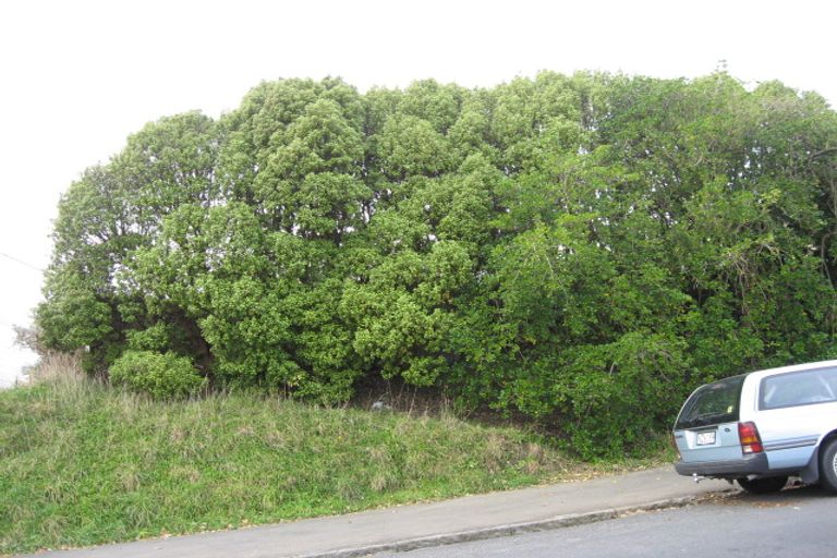 Photo of property in 25 Wickliffe Terrace, Port Chalmers, 9023
