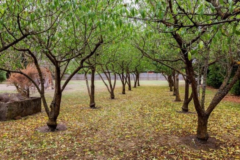 Photo of property in 10 Glasnevin Road, Amberley, 7410