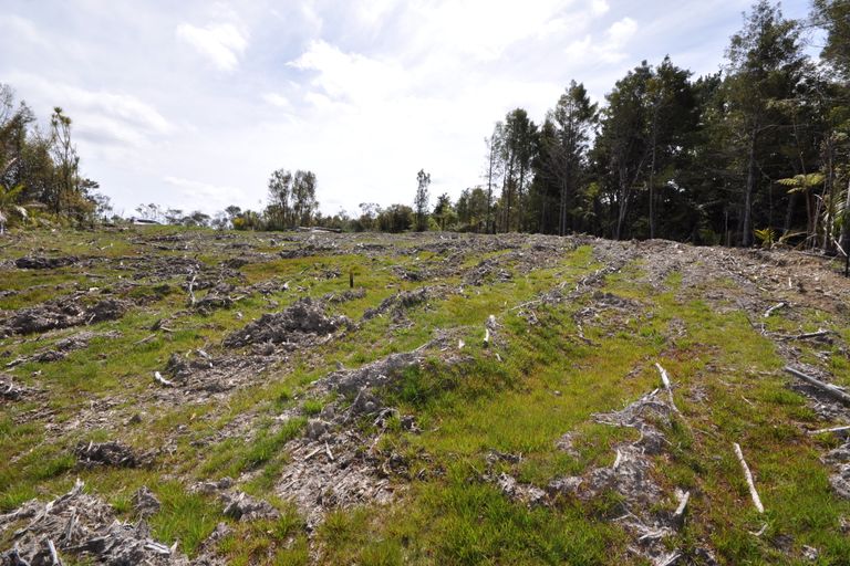 Photo of property in 551 Krippner Road, Puhoi, Silverdale, 0994