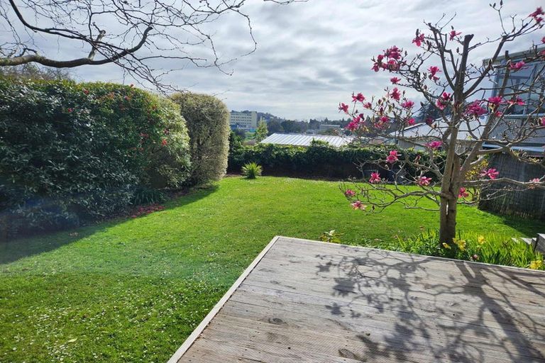 Photo of property in 38 Campbell Street, Nelson South, Nelson, 7010