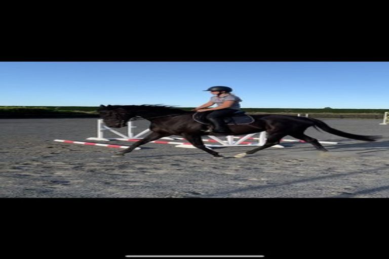 Photo of property in 695 Essendon Road, Darfield, 7571