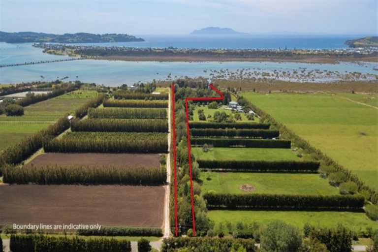 Photo of property in 145 Jones Road, Tawharanui Peninsula, Warkworth, 0986