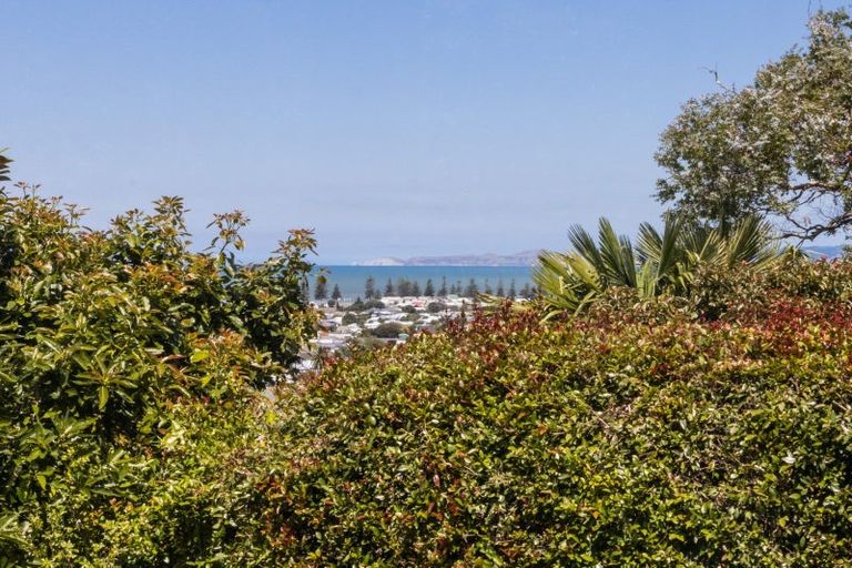 Photo of property in 19 Guys Hill Road, Hospital Hill, Napier, 4110