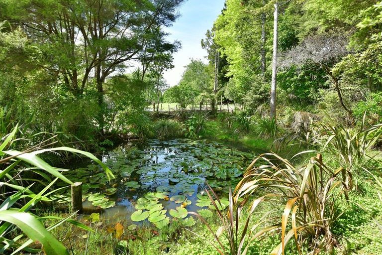 Photo of property in 142 Wade River Road, Wade Heads, Whangaparaoa, 0932