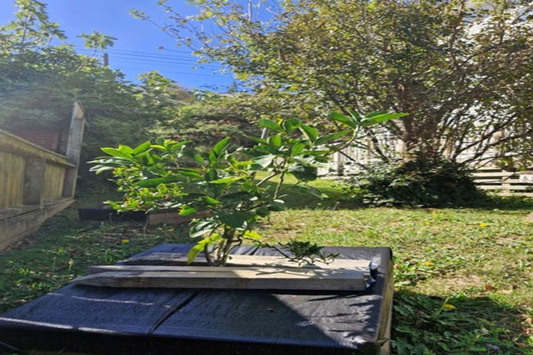 Photo of property in 88b Townsend Road, Miramar, Wellington, 6022