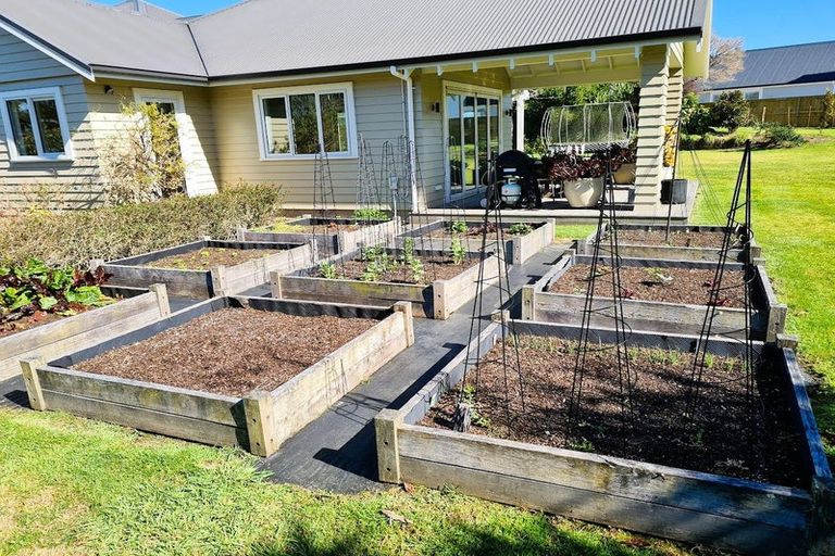 Photo of property in 51 Bradley Avenue, Pyes Pa, Tauranga, 3112