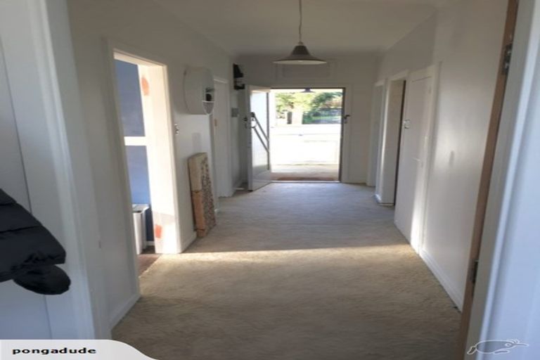 Photo of property in 81 Parker Avenue, Levin, 5510