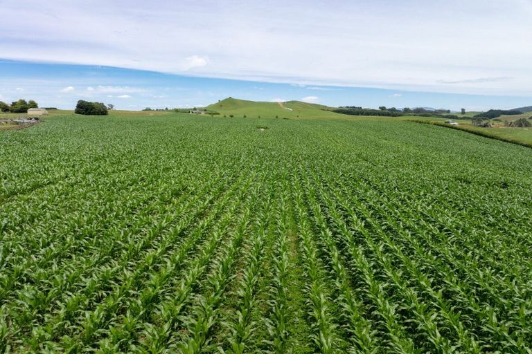 Photo of property in 23 Morgan Road, Matamata, 3472