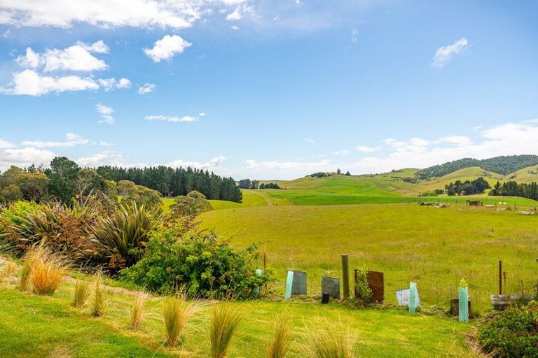 Photo of property in 134 Kemp Road, Hillgrove, Moeraki, 9482