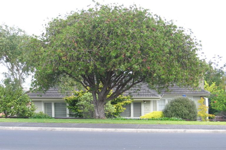 Photo of property in 194 East Coast Road, Forrest Hill, Auckland, 0620