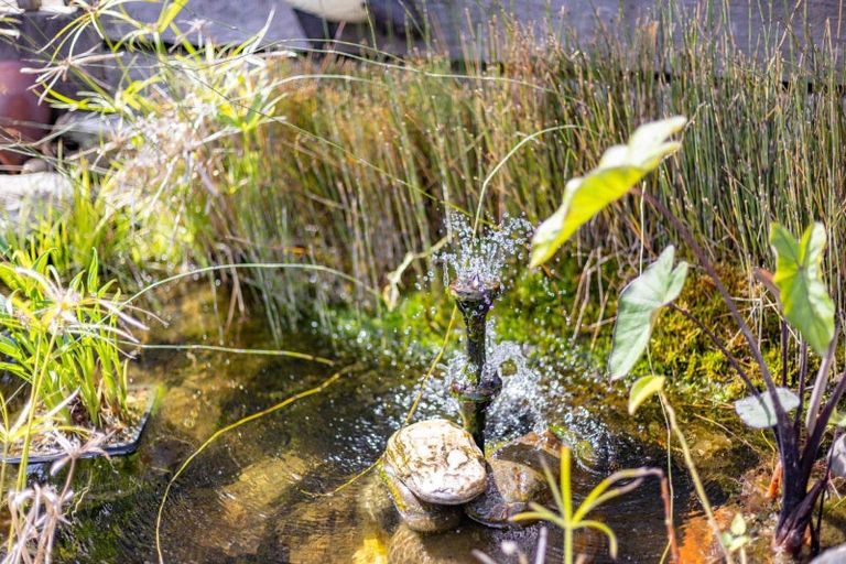 Photo of property in 93 Gibson Lane, Te Awamutu, 3800