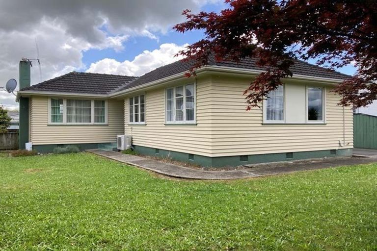 Photo of property in 55 Power Street, Levin, 5510