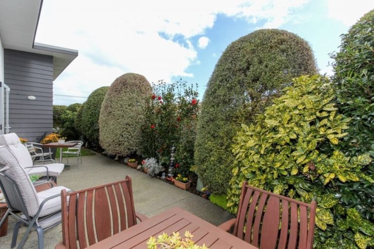 Photo of property in 149a Carrington Street, Lower Vogeltown, New Plymouth, 4310