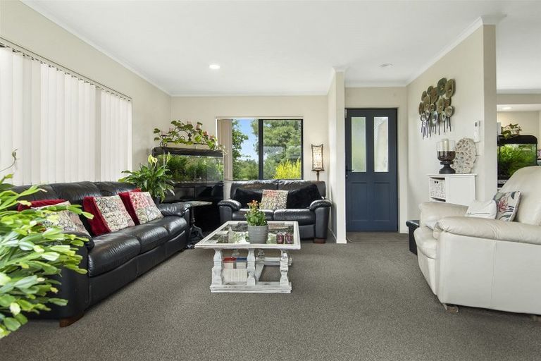 Photo of property in 58b Solomon Street, Brookfield, Tauranga, 3110