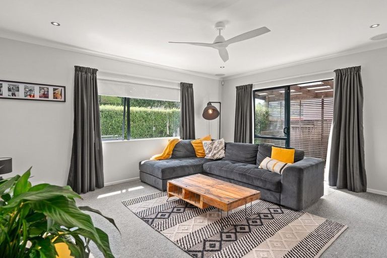 Photo of property in 45 Solomon Street, Brookfield, Tauranga, 3110