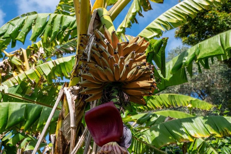 Photo of property in 964 Kerikeri Inlet Road, Kerikeri, 0293