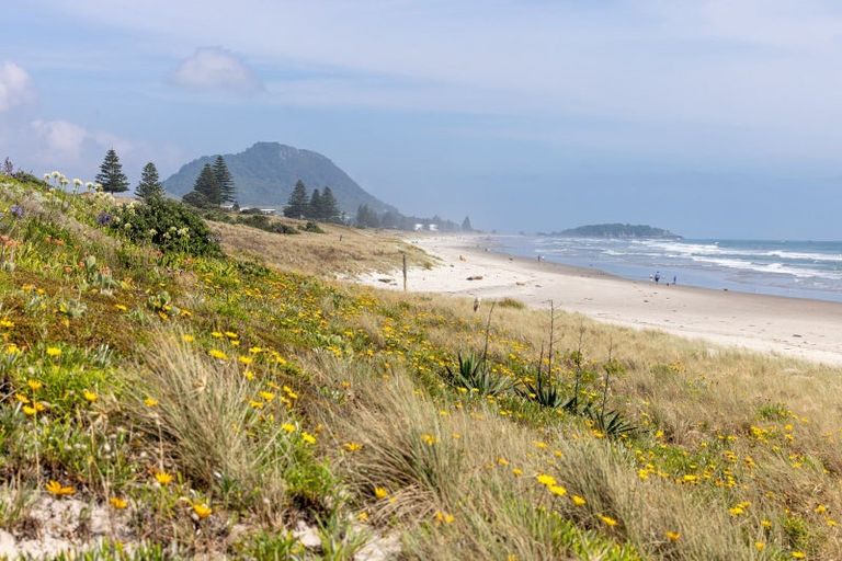 Photo of property in 21b Oceanbeach Road, Mount Maunganui, 3116