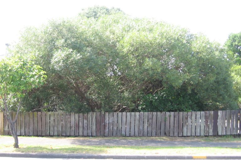 Photo of property in 44 Astley Avenue, New Lynn, Auckland, 0600