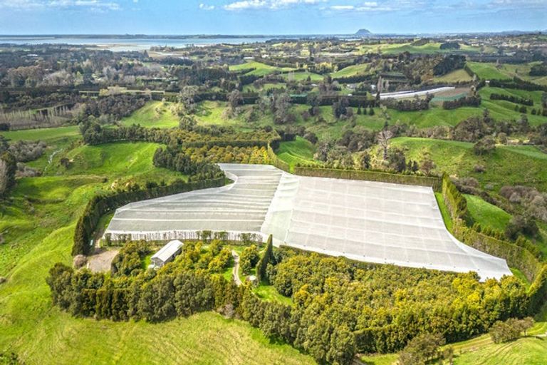 Photo of property in 231 Walford Road, Aongatete, Katikati, 3181