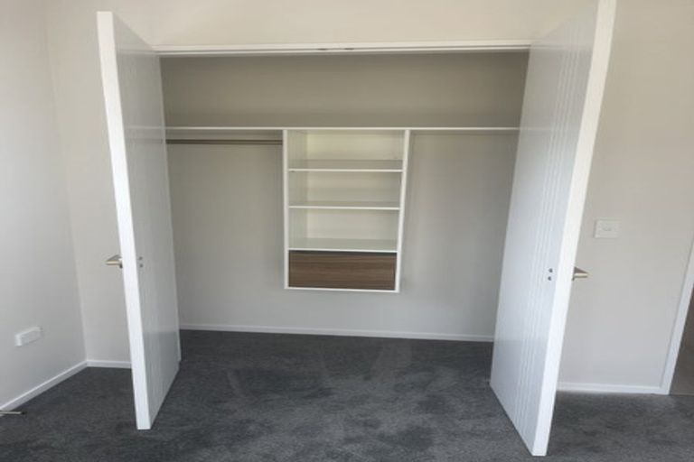 Photo of property in 17 Cyperus Street, Flat Bush, 2019