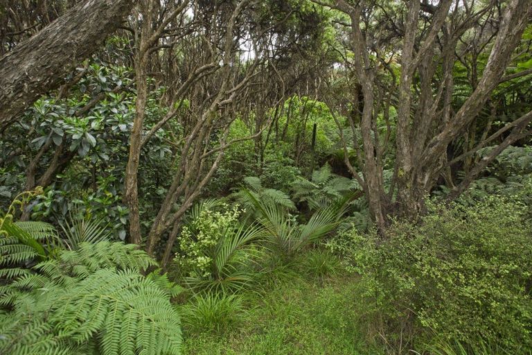 Photo of property in 1615 Whaanga Road, Raglan, 3296