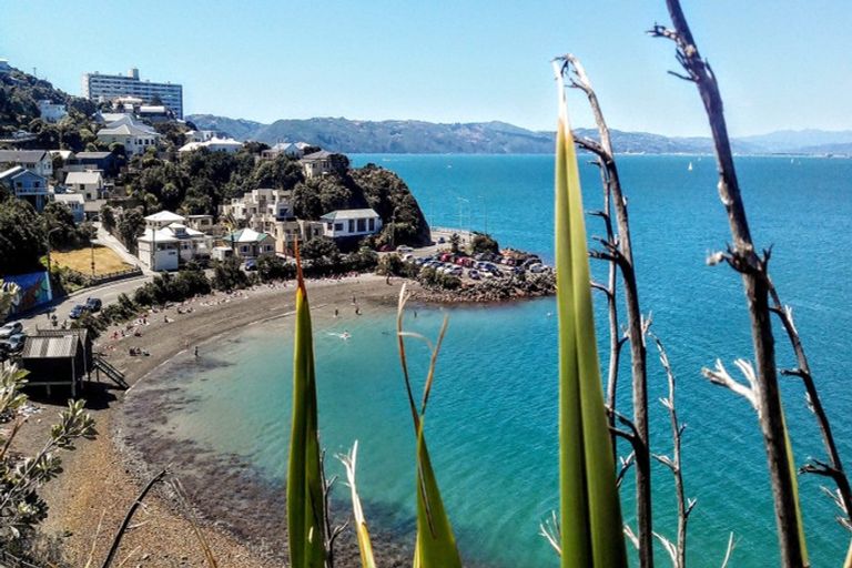 Photo of property in 82 Evans Bay Parade, Roseneath, Wellington, 6021