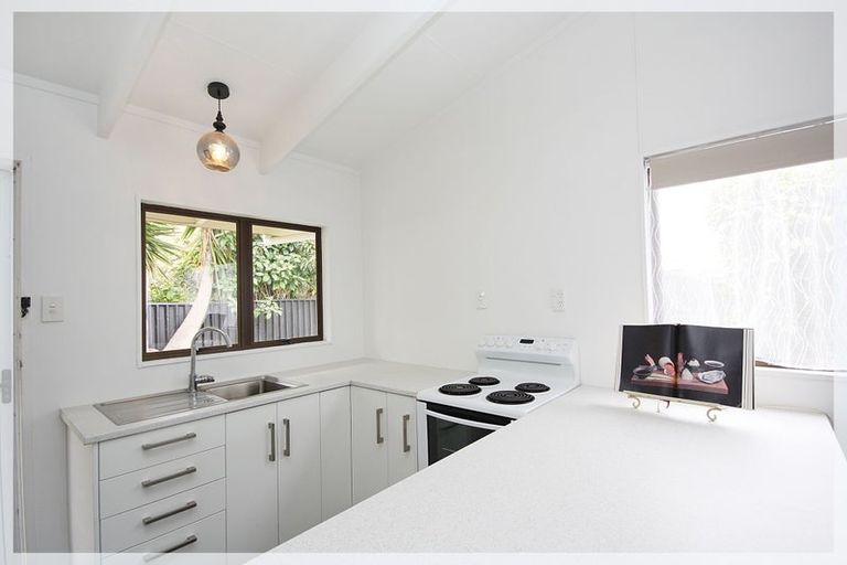 Photo of property in 133 Tiro Tiro Road, Levin, 5510