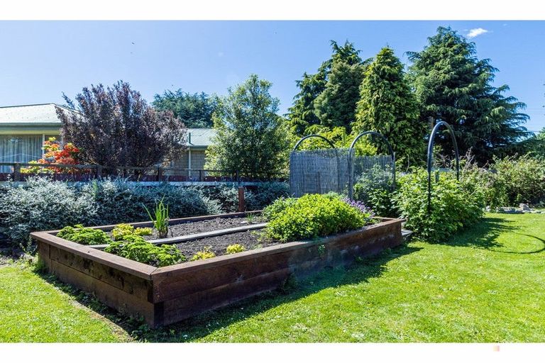 Photo of property in 3 Price Street, Waimate, 7924