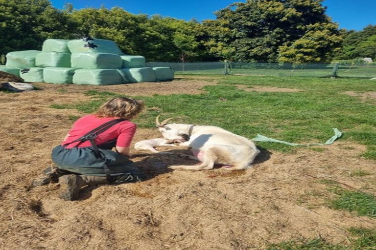 Photo of property in 23 Rameka Creek Road, Motupipi, Takaka, 7183