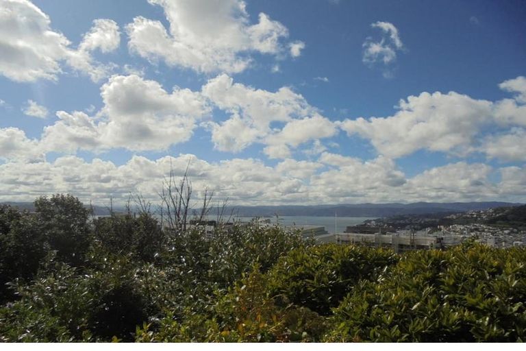 Photo of property in 4 Springfield Terrace, Kelburn, Wellington, 6012